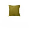 20"X20" Lime Green Honey Decorative Throw Pillow Cover (2 Pcs In Set)