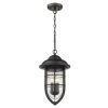 Dylan 3-Light Oil-Rubbed Bronze Hanging Lantern