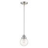 Silver Metal Hanging with Round Clear Glass Shade