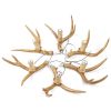 Brown Super Stag Faux Antlers Six Light LED Chandelier