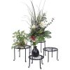 Set of 4 - Indoor Outdoor Black Metal Plant Stand