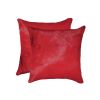 18" X 18" X 5" Cowhide Pillow 2 Pack