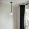 Frosted Glass Hanging Light