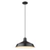 Industrial Hanging Light
