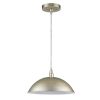 Metal Hanging Light with Dome Shade