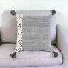 20" Herringbone Cotton Throw Pillow With Tassels