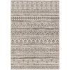 Chevron Coastal Boho Style Indoor Outdoor Area Rug