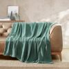 Lightweight 100-Percent Cotton Reversible Knit Blanket in Green