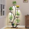 Modern Tall Indoor Plant Stand Display Shelf with Grow Lights