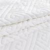 Velvet Microfiber Polyester Reversible 3-Piece Quilt Set