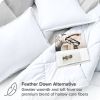 All Season Super Soft Down Alternative Comforter Set